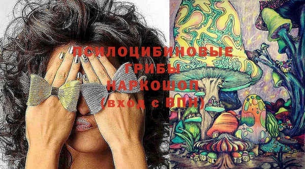 a pvp Нягань