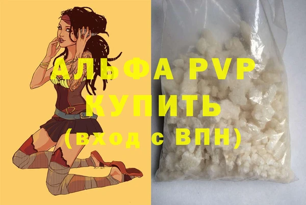 прущие крисы Апатиты