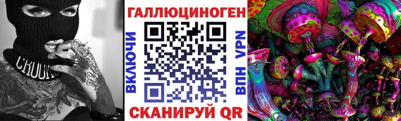 Псилоцибиновые грибы прущие грибы Новая Усмань